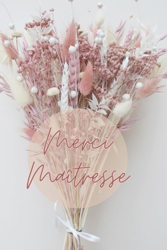 Merci Matresse: Carnet De Notes Pour Matresse, Institutrice, Professeure Des Ecoles | Ide Cadeau Personnalis De Fin D'Anne Scolaire | Carnet Lign 100 Pages Perla, Charlie Independently Publıshed