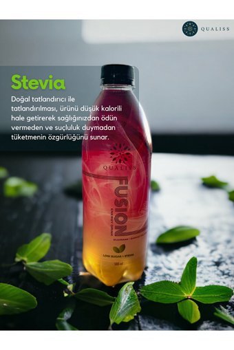 Qualiss Enerji İçeceği 12 Adet 500 ml