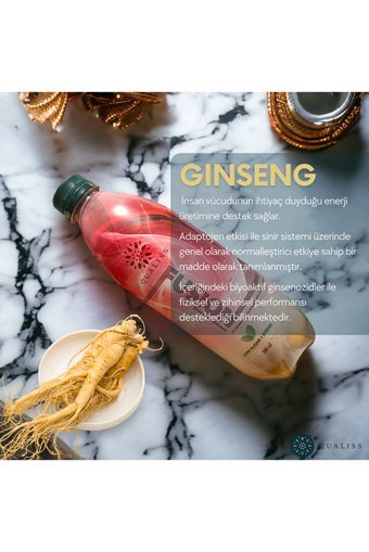 Qualiss Enerji İçeceği 12 Adet 500 ml