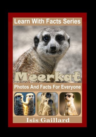 Meerkat Photos And Facts For Everyone: Animals İn Nature (Learn With Facts Series) Gaillard, Isis Learn Wıth Facts
