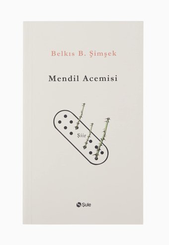 Mendil Acemisi Belkıs B. Şimşek Şule Yayınları