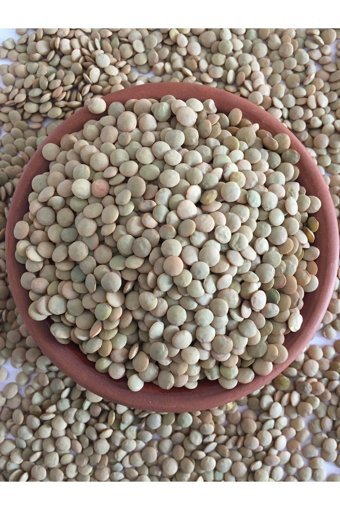 Kesire Ata Tohum Yeşil Mercimek 1 kg