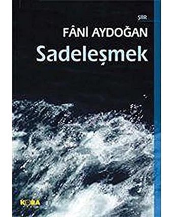 Sadeleşmek Fani Aydoğan Berfin Yayınları