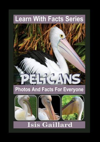 Pelicans Photos And Facts For Everyone: Animals İn Nature (Learn With Facts Series) Gaillard, Isis Learn Wıth Facts