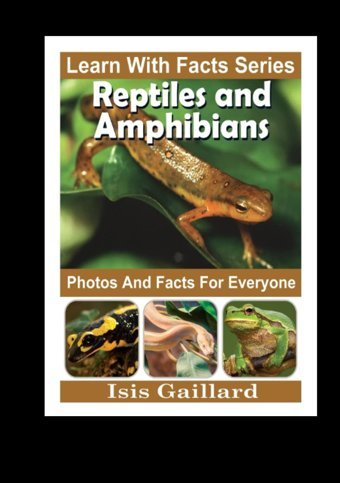 Reptiles And Amphibians Photos And Facts For Everyone: Animals İn Nature (Learn With Facts Series) Gaillard, Isis Learn Wıth Facts