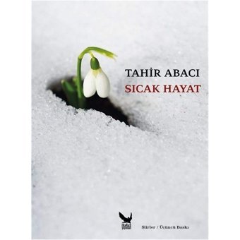 Sıcak Hayat Tahir Abacı İkaros Yayınları