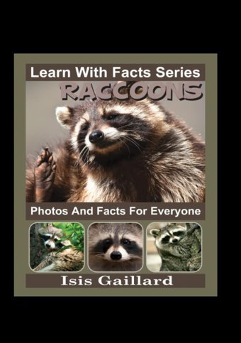 Raccoons Photos And Facts For Everyone: Animals İn Nature (Learn With Facts Series) Gaillard, Isis Learn Wıth Facts