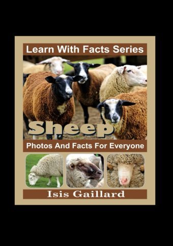 Sheep Photos And Facts For Everyone: Animals İn Nature (Learn With Facts Series) Gaillard, Isis Learn Wıth Facts