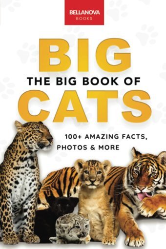 The Big Book Of Big Cats: 100+ Amazing Facts About Lions, Tigers, Leopards, Snow Leopards & Jaguars (Animal Books For Kids, Band 30) Kellett, Jenny Bellanova Books