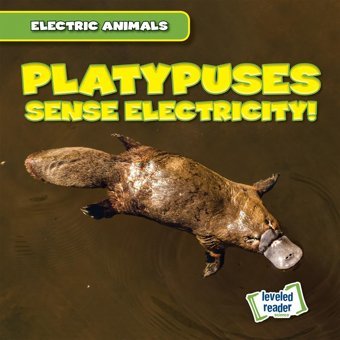 Platypuses Sense Electricity! (Electric Animals) Mallory, Louis Gareth Stevens