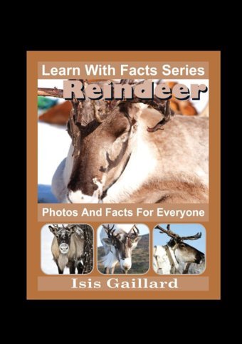 Reindeer Photos And Facts For Everyone: Animals İn Nature (Learn With Facts Series) Gaillard, Isis Learn Wıth Facts