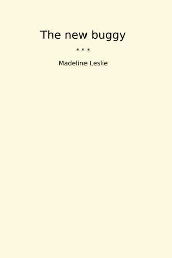 The New Buggy (Classic Books) Madeline Leslie Lettel Books
