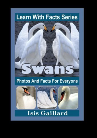 Swans Photos And Facts For Everyone: Animals İn Nature (Learn With Facts Series) Gaillard, Isis Learn Wıth Facts