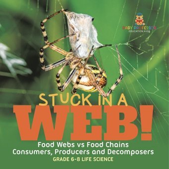 Stuck İn A Web! Food Webs Vs Food Chains Consumers, Producers And Decomposers Grade 6-8 Life Science Baby Professor Baby Professor
