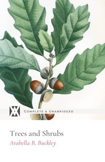 Trees And Shrubs: With 28 Original Illustrations Buckley, Arabella New West Press