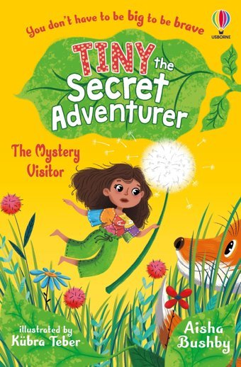 Tiny The Secret Adventurer: The Mystery Visitor Bushby, Aisha Usborne