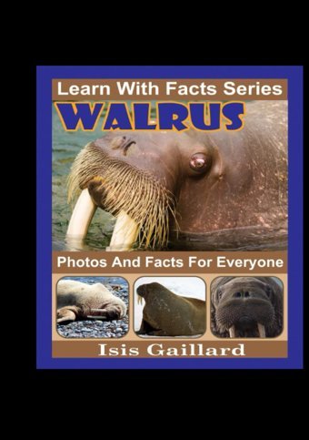 Walrus Photos And Facts For Everyone: Animals İn Nature (Learn With Facts Series) Gaillard, Isis Learn Wıth Facts