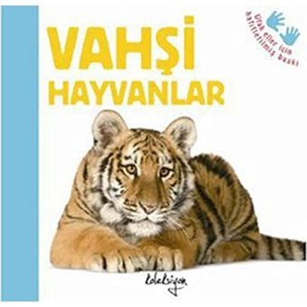 Vahşi Hayvanlar Katie Hewat Beta Kids