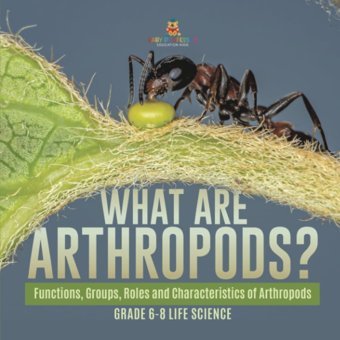 What Are Arthropods? Functions, Groups, Roles And Characteristics Of Arthropods Grade 6-8 Life Science Baby Professor Baby Professor