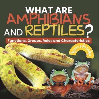 What Are Amphibians And Reptiles? Functions, Groups, Roles And Characteristics Grade 6-8 Life Science Baby Professor Baby Professor