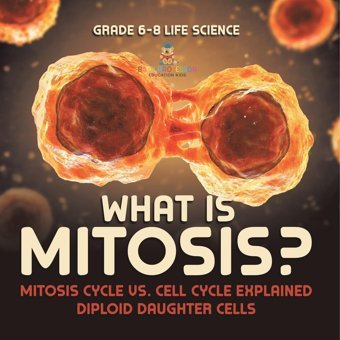 What İs Mitosis? Mitosis Cycle Vs. Cell Cycle Explained Diploid Daughter Cells Grade 6-8 Life Science Baby Professor Baby Professor