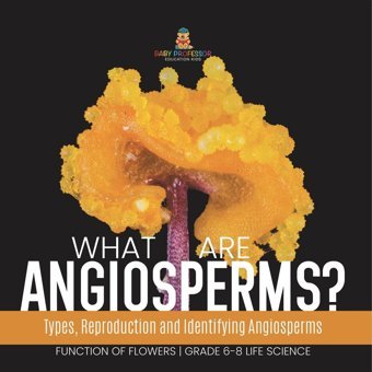 What Are Angiosperms? Types, Reproduction And Identifying Angiosperms Function Of Flowers Grade 6-8 Life Science Baby Professor Baby Professor