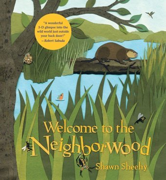 Welcome To The Neighborwood Sheehy, Shawn Candlewick Press