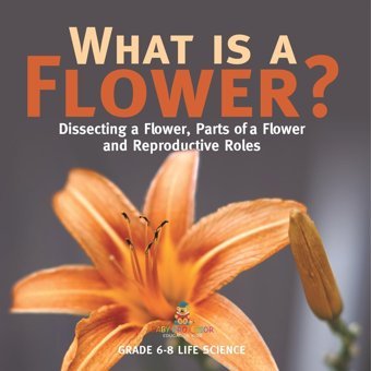 What İs A Flower? Dissecting A Flower, Parts Of A Flower And Reproductive Roles Grade 6-8 Life Science Baby Professor Baby Professor