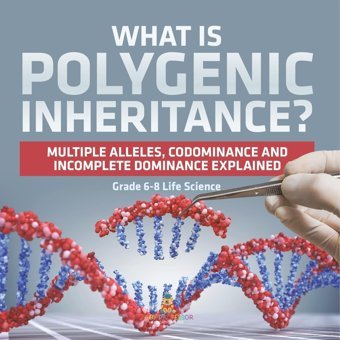 What İs Polygenic Inheritance? Multiple Alleles, Codominance And Incomplete Dominance Explained Grade 6-8 Life Science Baby Professor Baby Professor