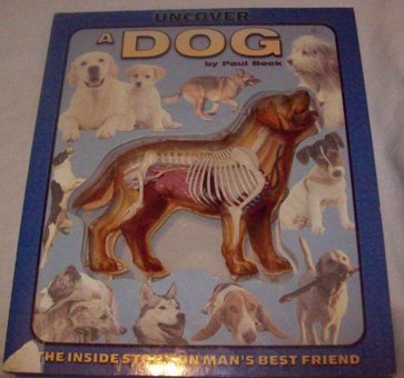 Uncover A Dog (Uncover It) Beck, Paul Silver Dolphin Books