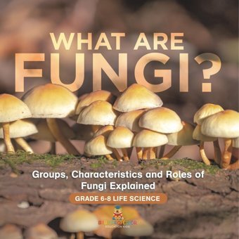 What Are Fungi? Groups, Characteristics And Roles Of Fungi Explained Grade 6-8 Life Science Baby Professor Baby Professor