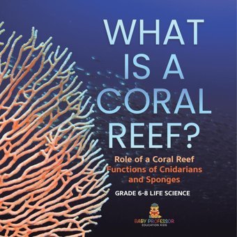 What İs A Coral Reef? Role Of A Coral Reef Functions Of Cnidarians And Sponges Grade 6-8 Life Science Baby Professor Baby Professor