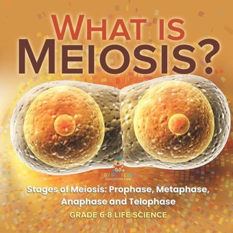 What İs Meiosis? Stages Of Meiosis, Prophase, Metaphase, Anaphase And Telophase Grade 6-8 Life Science Baby Professor Baby Professor