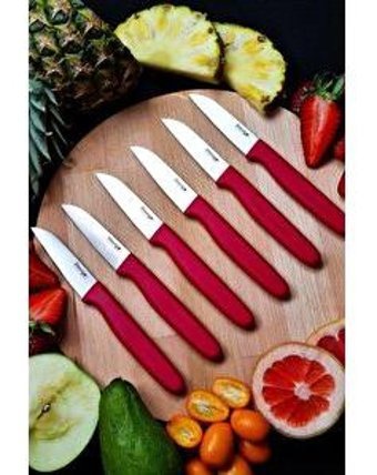 Stevig Cut St-404 Plastik Paslanmaz Çelik 6 Parça Meyve-Sebze Bıçağı Seti