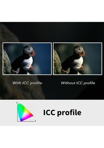 Plustek Opticfilm 8100 MacOS-Windows Tarayıcı Mavi-Siyah