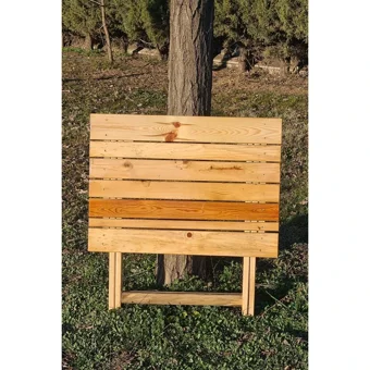 Alveta 50x70 cm Dikdörtgen Ahşap Katlanır Kamp Masası Kahverengi