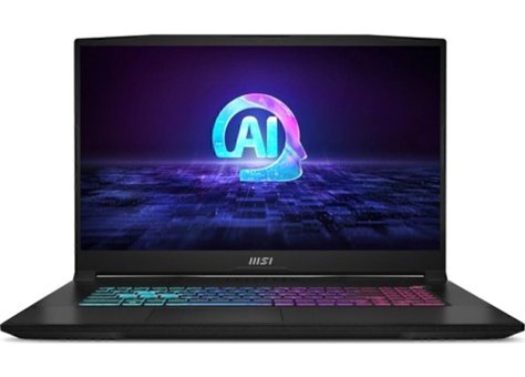 MSI RAIDER GE78 HX 14VHG-659TR Harici GeForce RTX 4070 AMD Ryzen 9 8945HS 32 GB DDR5 1 TB SSD 17.3 inç FHD Freedos Gaming Laptop