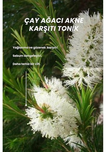 Bade Natural Tüm Ciltler İçin Gözenek Sıkılaştırıcı Sprey Tonik 100 ml
