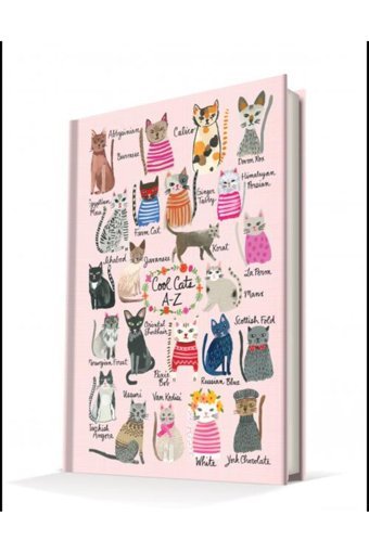 Deffter Cool Cats A5 Çizgisiz Orta Boy Çok Renkli Not Defteri
