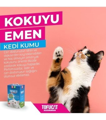 TofuCat Kokuyu Emen Topaklanan Kalın Taneli Bentonit Kedi Kumu 6 lt
