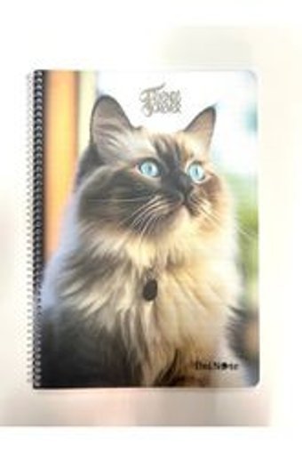 Çınar Defter A4 72 Yaprak Kareli Telli Sert Kapak 1 Adet Okul Defteri Çok Renkli