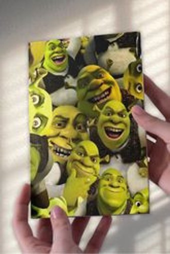 Namgo A5 24 Yaprak Çizgisiz Dikişli Karton Kapak 1 Adet Shrek Okul Defteri