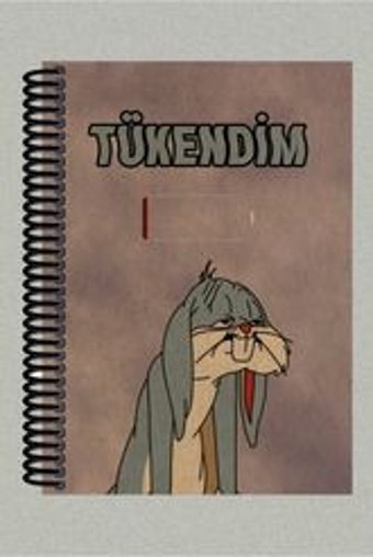 Namgo A5 100 Yaprak Çizgisiz Telli Karton Kapak 1 Adet Bugs Bunny Okul Defteri