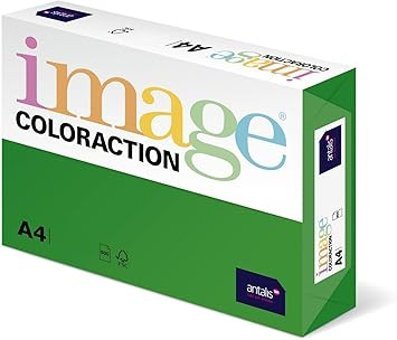 Paperandpicture A4 80 gr 40 Yaprak Desenli 1 Top Çok Renkli Desenli Kağıt