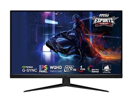 MSI G321q 170 Hz 1 ms 31.5 inç WQHD IPS Hoparlör VGA HDMI GSync 2560 x 1440 px LED Oyuncu Monitörü