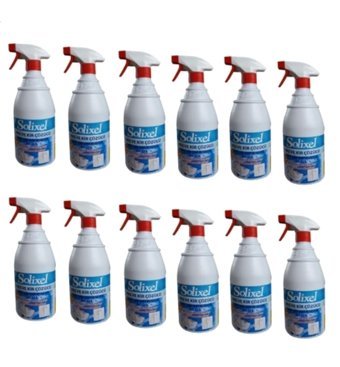 Solixel Tuvalet Temizleyici 12x1 lt