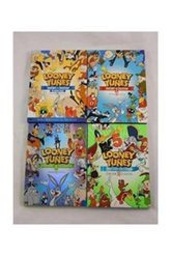 Dönmezler Looney Tunes Desenli Turuncu Kumaş Resim Çantası
