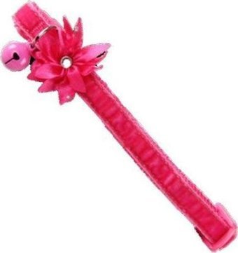 Pawise Papyonlu Pembe Gezdirme Boyun Kedi Tasması
