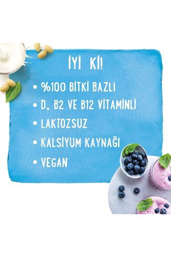 Alpro Hindistan Cevizi Sütü Laktozsuz 2'li 1 lt
