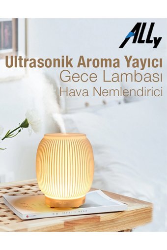 Ceypaks 200 ml 30 dB Aromaterapi Işıklı İyonizerli Taşınabilir Şarjlı Mini Soğuk Buhar Makinesi